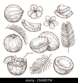 Kokosskizze. Natur zeichnen, handgezeichnete halb exotische Nüsse. Isolierter leckerer roher Kokos, tropische Palmblätter Strand Cocktail exaktes Vektorset. Illustration Kokosnuss Zeichnung, Kokosnuss Essen. Kokosskizze. Natur zeichnen, handgezeichnete halb exotische Nüsse. Isolierter leckerer roher Kokos, tropische Palmblätter Strand Cocktail exaktes Vektorset Stock Vektor