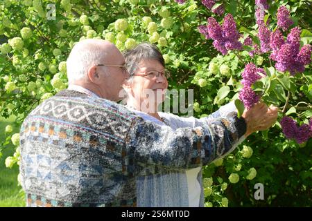 Seniorenpaar im Frühjahr Stockfoto