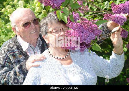 Seniorenpaar im Frühjahr Stockfoto