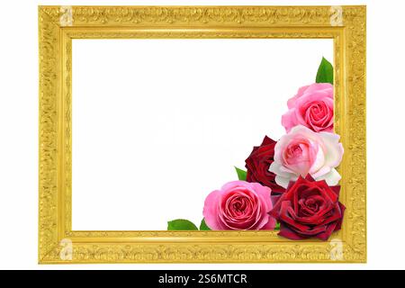 Goldener Rahmen mit Rosen Stockfoto