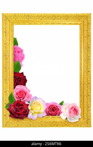 Vorlagenrahmen mit Rosen Stockfoto