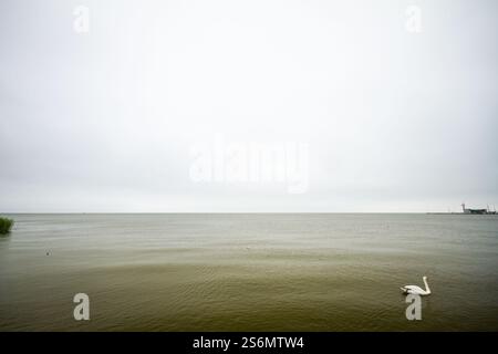 Landschaft am Kurischen Lagune an einem düsteren Tag Stockfoto