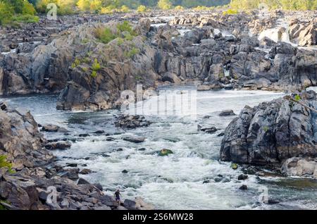 Great Falls am Potomac River in der Nähe von Washington Stockfoto