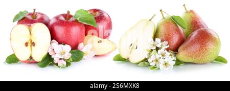 Apfel und Birne Äpfel Birnen Früchte frische rote Früchte geschnitten geschnitten isoliert vor weißem Hintergrund Stockfoto