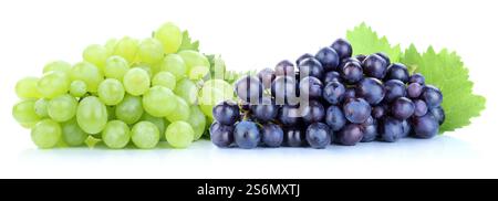 Trauben Trauben grüne blaue frische Frucht geerntet isoliert vor einem weißen Hintergrund Stockfoto