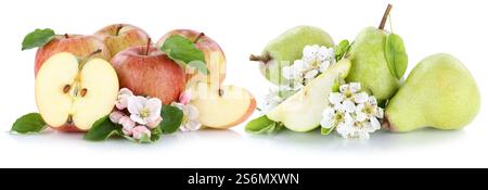 Apfel- und Birnenäpfel Birnen Frucht rot grün frisches Obst geschnittene Kulturpflanze isoliert auf weißem Hintergrund Stockfoto