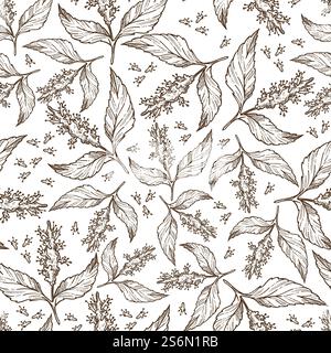 Laurus Nobilis oder Lorbeerblatt nahtloses Muster. Kräuter und Gewürze für den Lebensmittelgeschmack. Kochen aromatischer Gerichte. Blume in Blüte, dekorative Pflanze. Einfarbige Skizzenkontur, Vektor in abgewickelter Form. Lorbeerblatt in Blüte, Laub mit nahtlosem Blumenmuster Stock Vektor