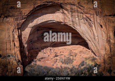 Atemberaubende Aussicht auf die alten Betatakin-Klippenhäuser im Navajo National Monument in Arizona. Das Bild hebt die beeindruckenden Formationen hervor Stockfoto