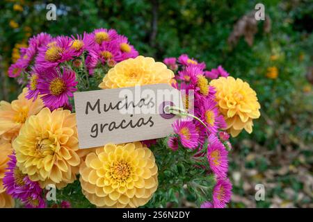 Grußkarte mit herbstlichem Blumenstrauß und englischem Text: Danke Stockfoto