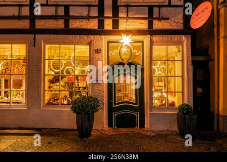 Die Schaufenster des Blumengeschäfts 'Floralwerk' in Oldenburg während der Weihnachtszeit Stockfoto