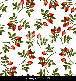Hagebuttenzweige mit Laub und Früchten, nahtloses Muster von Hunderose. Botanik Sträucher, Vitaminbeeren zum Kochen. Saisonale Pflanze mit Dornen am Stiel, Vektor in flacher Illustration. Dogrose Laub und Früchte, wilde Rose eglantine Vektor Stock Vektor