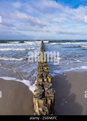 Groynes an der Ostseeküste bei Graal Müritz. Stockfoto