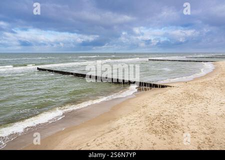 Groynes an der Ostseeküste bei Graal Müritz. Stockfoto