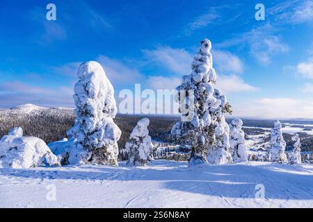 Landschaft mit Schnee im Winter in Ruka, Finnland. Stockfoto