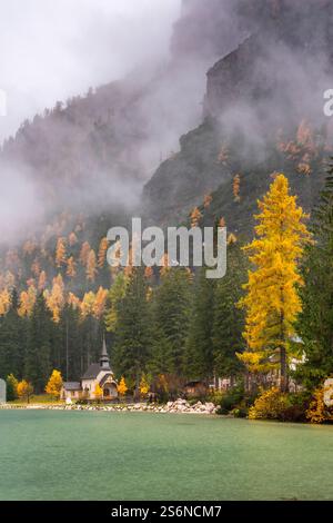 Pragser See mit herbstlicher Laubfarbe und Reflexen in den Dolomiten Italiens, Europa. Stockfoto