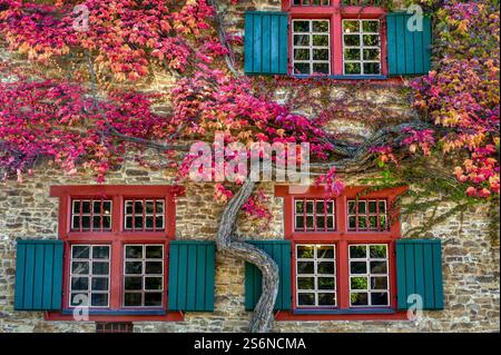 Historische Fassade mit Herbstlaub in Bensberg Stockfoto