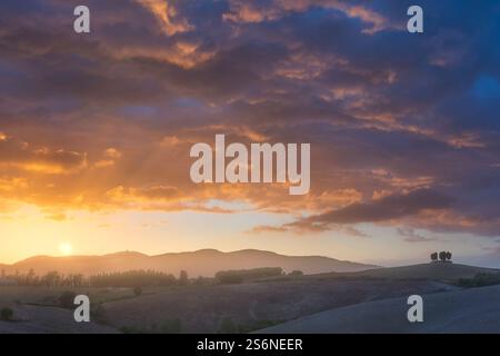 Zypressenhain auf einem Hügel bei Sonnenuntergang. Orciano Pisano in den Pisaner Hügeln, Provinz Pisa, Toskana, Italien Stockfoto