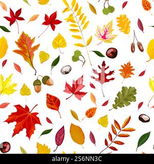 Herbstliche Blätter, saisonales Laub mit Eicheln und Kastanien nahtlos. Ahorn und Eiche, botanische Flora, wiederholbare Pflanzendekoration. Laubblättchen, Vektor in flacher Form. Herbstblätter, Eicheln und Kastanien nahtlose Muster Vektor Stock Vektor