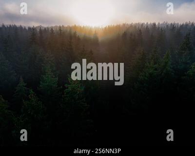 Beste Aussicht von oben - Drohnenaufnahmen Stockfoto