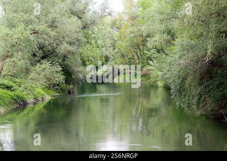 Unberührte Natur in der Rheinaue Stockfoto