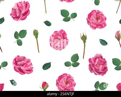 Pfingstrosen oder Rosen Blüten, dekorative Tapeten oder Hintergrund mit blühender Flora. Blühende Pflanzen und Stämme, Knospen und Blätter. Üppige Laub-Florist-Komposition. Vektor in abgewickelter Form. Muster mit Rosen oder Pfingstrosen, Stielen und Blättern Stock Vektor