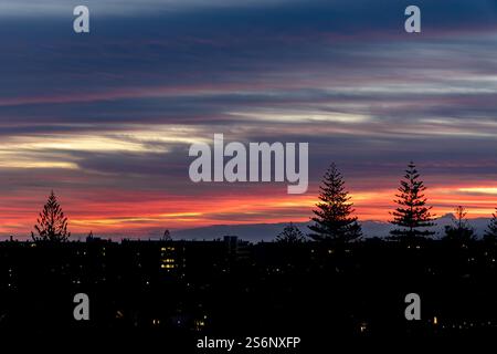 Der Himmel ist dunkel und die Sonne untergeht. Bäume sind am Himmel silhouettiert Stockfoto
