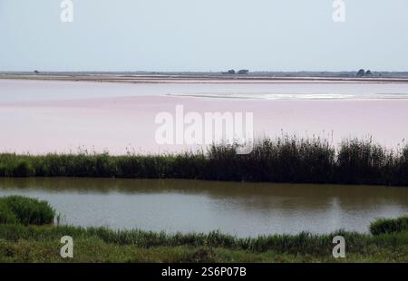 Salinen in der Nähe von Aigues-Mortes, Provence Stockfoto