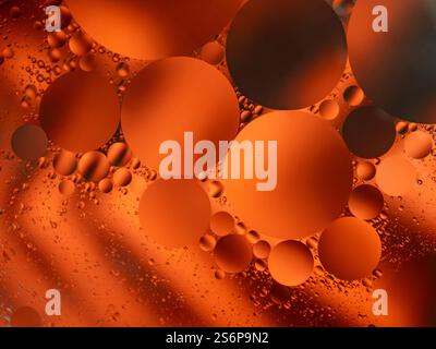 Abstrakte Nahaufnahme orangefarbener Ölblasen, die in Flüssigkeit aufgehängt sind und künstlerische Kreismuster mit komplizierten Texturen und einer lebendigen Komposition schaffen Stockfoto