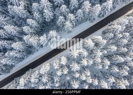 Belgien, Bütgenbach, Straße durch den Winterwald, aus der Vogelperspektive Stockfoto