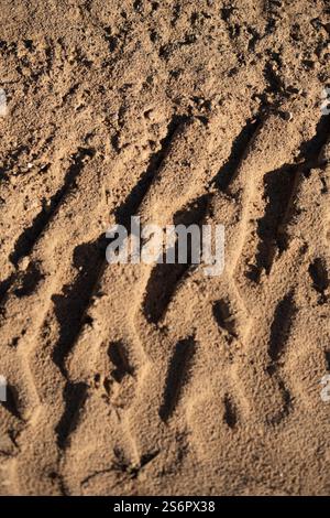 Foto Nahaufnahme von Reifenspurmustern, die auf Sandy Surface aufgedruckt sind und Outdoor-Abenteuer und Erkundungen durch Geländefahrzeuge in Natural E darstellen Stockfoto
