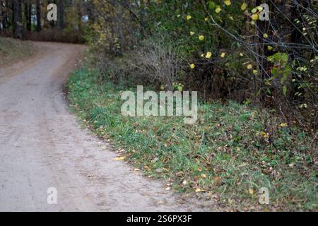 Foto Scenic Nature Path durch eine üppige Waldlandschaft umgeben von Herbstlaub mit gewundenen Dirt Road in einer ruhigen und friedlichen Umgebung im Freien Stockfoto
