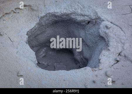 Kochender grauer Schlammtopf in Hverir, Teil des Geothermalgebietes Myvatn im Nordosten Islands, Nahaufnahme. Stockfoto