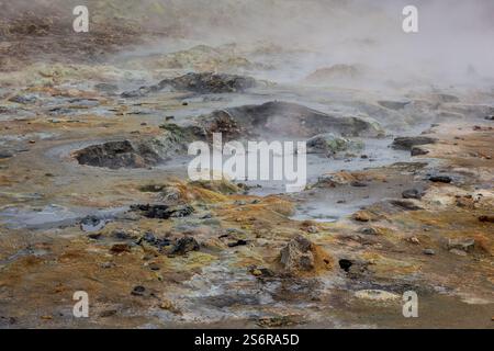 Kochende und dampfende graue Schlammtöpfe und orangefarbener Schwefelboden im Geothermalgebiet Hverir, Myvatn im Nordosten Islands. Stockfoto