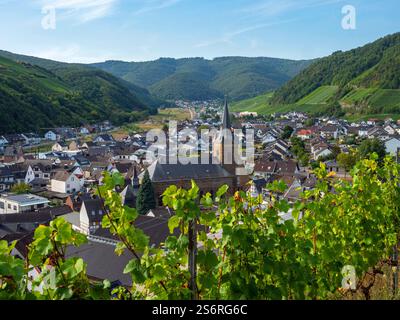 Dernau, Ahr, Ahrtal, Eifel, Rheinland-Pfalz, Deutschland Stockfoto