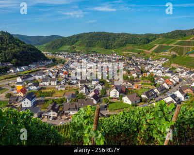 Dernau, Ahr, Ahrtal, Eifel, Rheinland-Pfalz, Deutschland Stockfoto