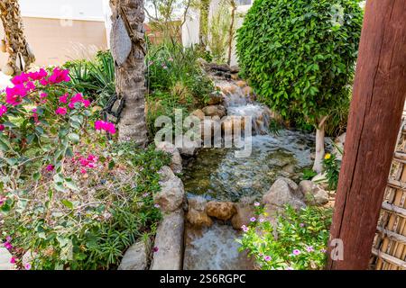 Garten, Bait al Zubair, Museum, ehemaliges Herrenhaus der Familie Zubair, Muscat, Muscat, Oman, Arabische Halbinsel, Naher Osten, Asien Stockfoto