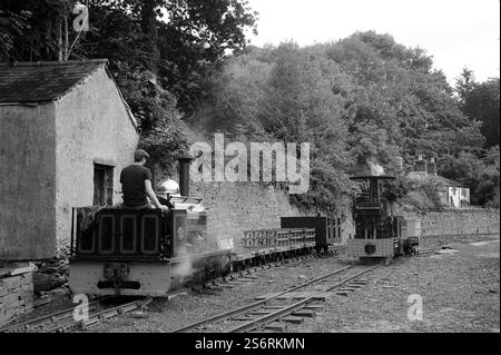 „Hugh Napier“ und „Fernilee“ bei Felin Fawr. Stockfoto