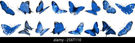 Realistische blaue Schmetterlinge. Fliegende Schmetterlinge, isolierte helle Insektensammlung. Dekorative Frühling Sommer und Garten Wildtiere Vektor-Set. Illustration Insektenblau realistisch, Natur Tierflügel. Realistische blaue Schmetterlinge. Fliegende Schmetterlinge, isolierte helle Insektensammlung. Dekorative Frühling Sommer Wald und Garten Wildtiere Vektor-Set Stock Vektor