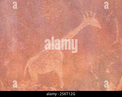 Gravuren aus der Buschmannkultur zeigen eine Giraffe in Twyfelfontein, die antike Kunst in Felsformationen zeigt und Details ihrer Verbindung zur Natur enthüllt. Stockfoto