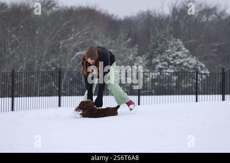 Ein Hund und sein menschlicher Besitzer necken sich bei einem seltenen Schneefall in Texas spielerisch und spielen fröhlich im schmiedeeisernen großen Hinterhof. Stockfoto