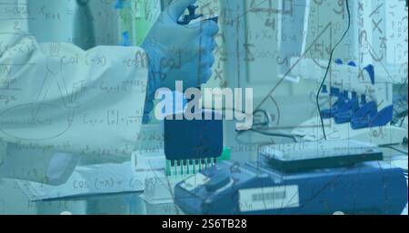 Bild mathematischer Gleichungen über birassische Wissenschaftlerinnen im Labor Stockfoto