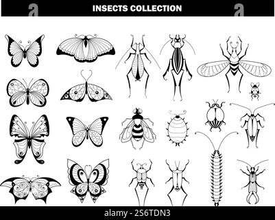 Insektensammlung. Schmetterling Käfer Libelle, schwarze Insekten Silhouetten. Frühling Sommer fliegende Tiere, Garten Schädlinge Vektor-Set. Illustration Libelle und Käfer, Schmetterling und Marienkäfer. Insektensammlung. Schmetterling Käfer Libelle, schwarze Insekten Silhouetten. Frühling Sommer fliegende Tiere, Garten Schädlinge Vektor-Set Stock Vektor