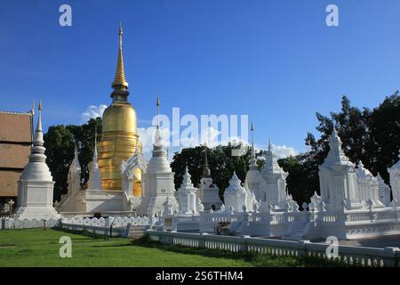 Wat Suan Dok Tempel in Chiang Mai, Thailand Stockfoto