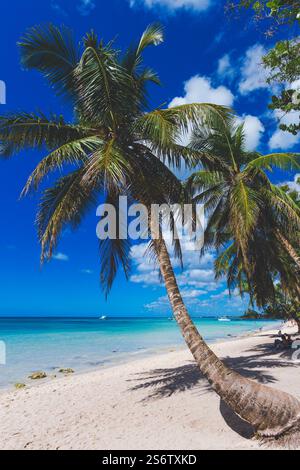 Dominikanische Republik, Provinz Romana, Bayahibe Stockfoto