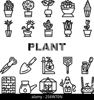 Potted Plant And Care Zubehör Symbole Set Vector. Sansevieria Trifasciata Und Zitrusbaum, Monstera Deliciosa Und Buxus Sempervirens Topfpflanze. Florarium Ausrüstung Schwarze Konturabbildungen. Potted Plant And Care Zubehör Symbole Set Vector Stock Vektor