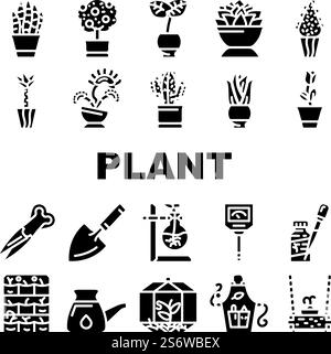 Potted Plant And Care Zubehör Symbole Set Vector. Sansevieria Trifasciata Zitrusbaum, Monstera Deliciosa Buxus Sempervirens Topfpflanze. Florarium Ausrüstung Glyph Piktogramme Schwarze Illustration. Potted Plant And Care Zubehör Symbole Set Vector Stock Vektor