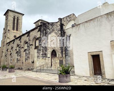 Kathedrale von San Fernando in San Antonio, Texas. Stockfoto