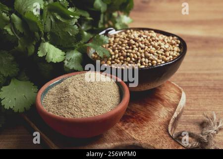 Ein Haufen frischer Koriander, Koriandersamen und Pulverschüsseln, Nahaufnahme, Blick von oben, keine Leute, Essen und Getränke Stockfoto