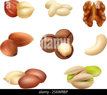 Nuts realistic. Healthy closeup natural products cocoa peanut coffee beans almonds aroma grain decent vector snack foods collection set. Illustration of nutrition raw almond and kernel. Nuts realistic. Healthy closeup natural products cocoa peanut coffee beans almonds aroma grain decent vector snack foods collection set Stock Vektor