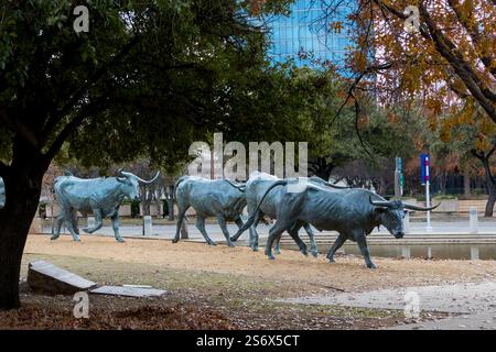DALLAS, TEXAS - 23. DEZEMBER 2024: Langhornviehstatuen im öffentlichen Park Pioneer Plaza in Dallas, Texas. Stockfoto